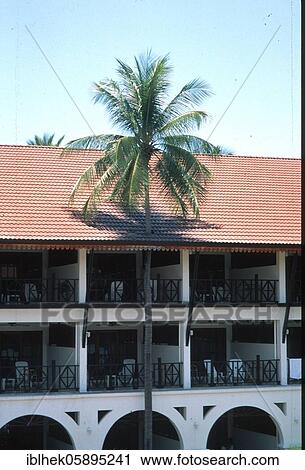 Stock Image - Palm tree growing through a house roof, funny, Koh Samui, Thailand, Asia. Fotosearch