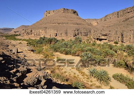 Palmenhain in der Iherir Schlucht, Iherir Canyon, Tassili n'Ajjer Nationalpark, UNESCO Weltnaturerbe, Sahara, Algerien, Afrika View Large Photo Image Stock Photo - Palmenhain in der Iherir Schlucht, Iherir Canyon, Tassili n'Ajjer Nationalpark, UNESCO Weltnaturerbe, Sahara, Algerien, Afrika. Fotosearch