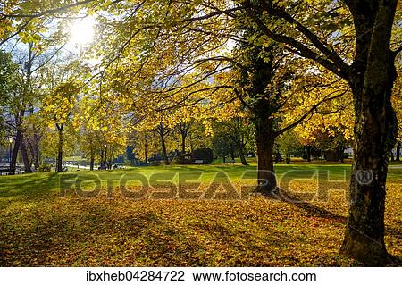 Park, Bad Wiessee, Tegernsee, Bayern, Deutschland, Europa View Large Photo Image Stock Image - Park, Bad Wiessee, Tegernsee, Bayern, Deutschland, Europa. Fotosearch