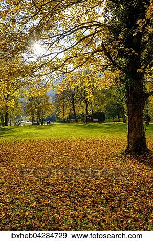 Park, Bad Wiessee, Tegernsee, Bayern, Deutschland, Europa View Large Photo Image Stock Photo - Park, Bad Wiessee, Tegernsee, Bayern, Deutschland, Europa. Fotosearch