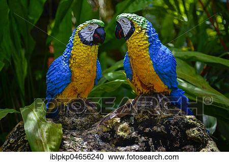 Parrot figures, Nong Nooch Tropical Botanical Garden, Pattaya, Thailand, Asia View Large Photo Image Stock Image - Parrot figures, Nong Nooch Tropical Botanical Garden, Pattaya, Thailand, Asia. Fotosearch