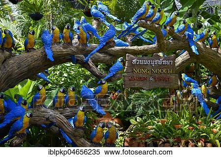 Stock Photography - Parrot figures, Nong Nooch Tropical Botanical Garden, Pattaya, Thailand, Asia. Fotosearch