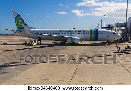 Passenger aircraft at the airport, Airline Transavia, Gran Canaria, Canary Islands, Spain, Europe View Large Photo Image Stock Photo - Passenger aircraft at the airport, Airline Transavia, Gran Canaria, Canary Islands, Spain, Europe. Fotosearch