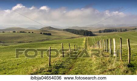 Path between pastures, Cezallier massif, Puy de Dome department, Auvergne, France, Europe View Large Photo Image Stock Photograph - Path between pastures, Cezallier massif, Puy de Dome department, Auvergne, France, Europe. Fotosearch