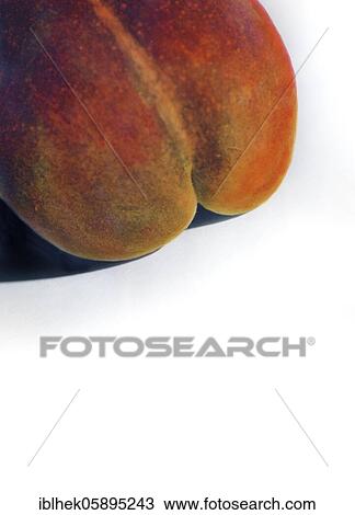 Peach, Berlin, Germany, Europe View Large Photo Image Stock Image - Peach, Berlin, Germany, Europe. Fotosearch