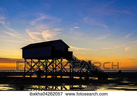 Pfahlbau bei Ebbe im Sonnenuntergang, Strand von Sankt Peter Ording, Schleswig-Holstein, Deutschland, Europa View Large Photo Image Stock Photo - Pfahlbau bei Ebbe im Sonnenuntergang, Strand von Sankt Peter Ording, Schleswig-Holstein, Deutschland, Europa. Fotosearch