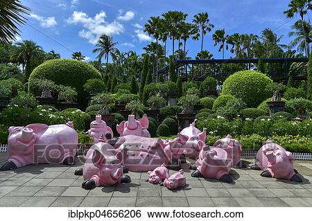 Pig figures, Nong Nooch Tropical Botanical Garden, Pattaya, Thailand, Asia View Large Photo Image Stock Photograph - Pig figures, Nong Nooch Tropical Botanical Garden, Pattaya, Thailand, Asia. Fotosearch