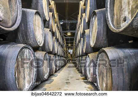 Plenty of port wine barrels in a wine cellar in Vila Nova de Gaia, Portugal, Europe View Large Photo Image Stock Image - Plenty of port wine barrels in a wine cellar in Vila Nova de Gaia, Portugal, Europe. Fotosearch