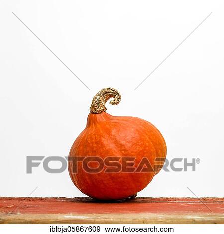 Pumpkin on a white background, studio shot, France, Europe View Large Photo Image Stock Photo - Pumpkin on a white background, studio shot, France, Europe. Fotosearch