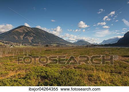 Stock Photography - Purgschachen Moor, Ardning, Steiermark, Osterreich, Europa. Fotosearch