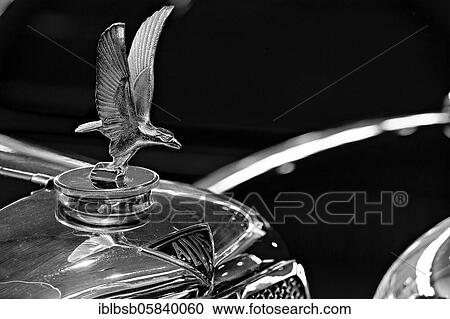 Radiator mascot eagle of oldtimer Alvis Speed 20, in black and white View Large Photo Image Stock Image - Radiator mascot eagle of oldtimer Alvis Speed 20, in black and white. Fotosearch