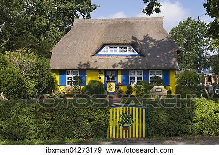Stock Photo - Reetdach-Haus, Born auf Darss, Fischland-Darss-Zingst, Mecklenburg-Vorpommern, Deutschland, Europa. Fotosearch