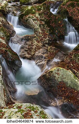 River course of the Lepenica river in autumn, Lepena, Slovenia, Europe View Large Photo Image Picture - River course of the Lepenica river in autumn, Lepena, Slovenia, Europe. Fotosearch
