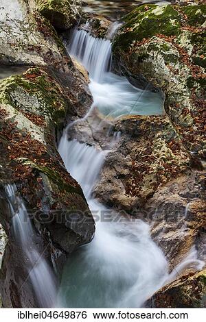 Stock Photograph - River course of the Lepenica river in autumn, Lepena, Slovenia, Europe. Fotosearch