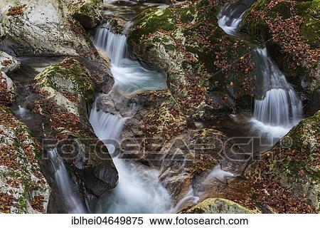 Stock Photography - River course of the Lepenica river in autumn, Lepena, Slovenia, Europe. Fotosearch
