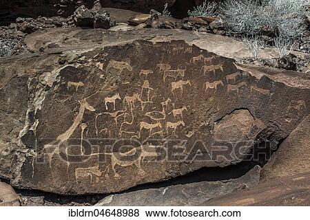 Rock carvings, rock engravings, Twyfelfontain, National Monument, Kunene District, Namibia, Twyfelfontein, Kunene District, Namibia, Africa View Large Photo Image Stock Photo - Rock carvings, rock engravings, Twyfelfontain, National Monument, Kunene District, Namibia, Twyfelfontein, Kunene District, Namibia, Africa. Fotosearch