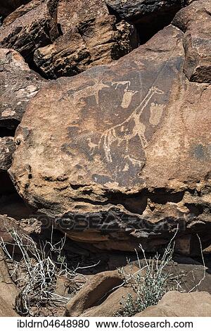 Rock engravings, Twyfelfontain, National Monument, Kunene District, Namibia, Twyfelfontein, Kunene District, Namibia, Africa View Large Photo Image Stock Image - Rock engravings, Twyfelfontain, National Monument, Kunene District, Namibia, Twyfelfontein, Kunene District, Namibia, Africa. Fotosearch