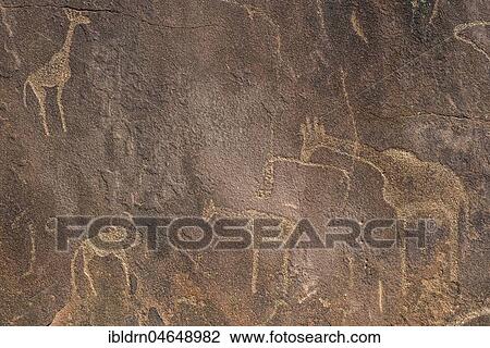 Rock engravings, Twyfelfontain, National Monument, Kunene District, Namibia, Twyfelfontein, Kunene District, Namibia, Africa View Large Photo Image Stock Image - Rock engravings, Twyfelfontain, National Monument, Kunene District, Namibia, Twyfelfontein, Kunene District, Namibia, Africa. Fotosearch