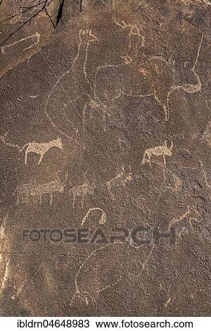 Rock engravings, Twyfelfontain, National Monument, Kunene District, Namibia, Twyfelfontein, Kunene District, Namibia, Africa View Large Photo Image Stock Image - Rock engravings, Twyfelfontain, National Monument, Kunene District, Namibia, Twyfelfontein, Kunene District, Namibia, Africa. Fotosearch