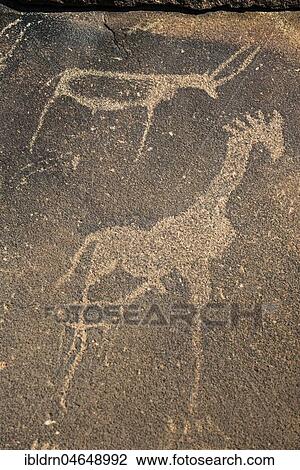 Rock engravings, Twyfelfontain, National Monument, Kunene District, Namibia, Twyfelfontein, Kunene District, Namibia, Africa View Large Photo Image Stock Image - Rock engravings, Twyfelfontain, National Monument, Kunene District, Namibia, Twyfelfontein, Kunene District, Namibia, Africa. Fotosearch