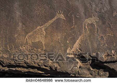 Rock engravings, Twyfelfontain, National Monument, Kunene District, Namibia, Twyfelfontein, Kunene District, Namibia, Africa View Large Photo Image Stock Photograph - Rock engravings, Twyfelfontain, National Monument, Kunene District, Namibia, Twyfelfontein, Kunene District, Namibia, Africa. Fotosearch