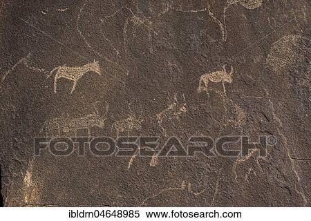 Stock Photography - Rock engravings, Twyfelfontain, National Monument, Kunene District, Namibia, Twyfelfontein, Kunene District, Namibia, Africa. Fotosearch