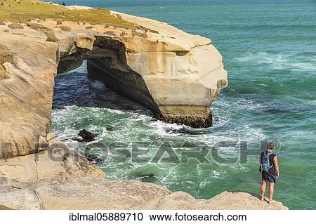 Rock formation at Tunnel Beach, Oceania, Dunedin, Otago, South Island, New Zealand, Oceania View Large Photo Image Stock Image - Rock formation at Tunnel Beach, Oceania, Dunedin, Otago, South Island, New Zealand, Oceania. Fotosearch