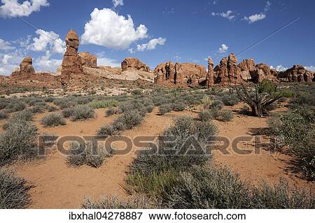 Rock Pinnacles, Arches National Park, Utah, USA, Nordamerika View Large Photo Image Stock Photo - Rock Pinnacles, Arches National Park, Utah, USA, Nordamerika. Fotosearch