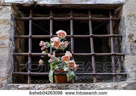 Stock Photo - Rose hinter vergittertem Fenster. Fotosearch