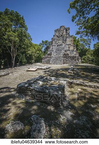 Picture - Ruins, ancient city, principal pyramid in Muyil, excavation site, Quintana Roo, Yucatán, Mexico, Central America. Fotosearch