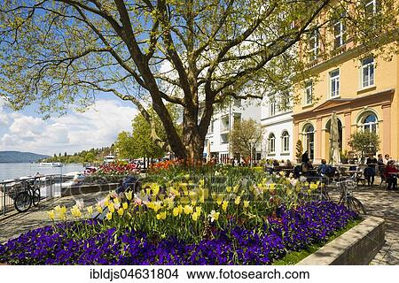 Picture - Seaside promenade with flowerbeds, Überlingen, Lake Constance, Baden-Württemberg, Germany, Europe. Fotosearch