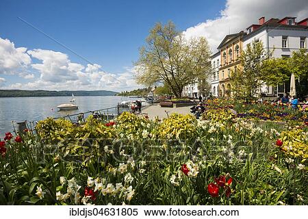 Seaside promenade with flowerbeds, Überlingen, Lake Constance, Baden-Württemberg, Germany, Europe View Large Photo Image Stock Photography - Seaside promenade with flowerbeds, Überlingen, Lake Constance, Baden-Württemberg, Germany, Europe. Fotosearch