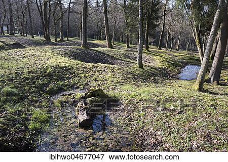 Site of the destroyed village Fleury-devant-Douaumont, grenade funnel overgrown by forest, battlefield of Verdun, First World War, Fleury-devant-Douaumont, Grand Est, France, Europe View Large Photo Image Stock Photo - Site of the destroyed village Fleury-devant-Douaumont, grenade funnel overgrown by forest, battlefield of Verdun, First World War, Fleury-devant-Douaumont, Grand Est, France, Europe. Fotosearch