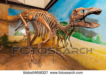 Skeleton of a Dinosaur, Sirindhorn Dinosaur Museum, Non Buri, Sahatsakhan district, Kalasin province, Isan, Thailand, Asia View Large Photo Image Stock Photo - Skeleton of a Dinosaur, Sirindhorn Dinosaur Museum, Non Buri, Sahatsakhan district, Kalasin province, Isan, Thailand, Asia. Fotosearch