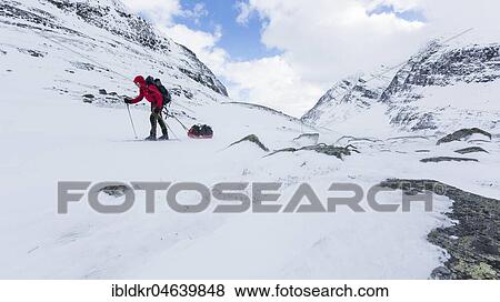 Ski tourer with pulka in the snow, Kungsleden or Königsweg, Province of Lapland, Sweden, Scandinavia, Europe View Large Photo Image Stock Photo - Ski tourer with pulka in the snow, Kungsleden or Königsweg, Province of Lapland, Sweden, Scandinavia, Europe. Fotosearch