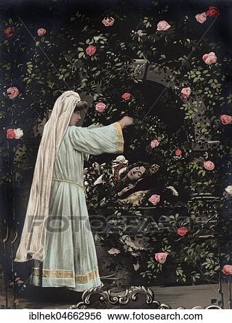 Sleeping Beauty, 1910s, hand coloured, Germany, Europe View Large Photo Image Stock Photograph - Sleeping Beauty, 1910s, hand coloured, Germany, Europe. Fotosearch
