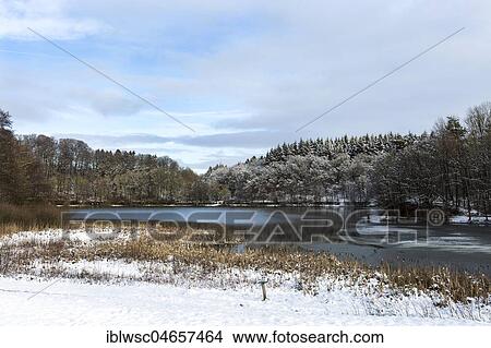Picture - Small lake in the forest area in winter, Holzmaar, nature reserve, Vulkaneifel, Rhineland-Palatinate, Germany, Europe. Fotosearch