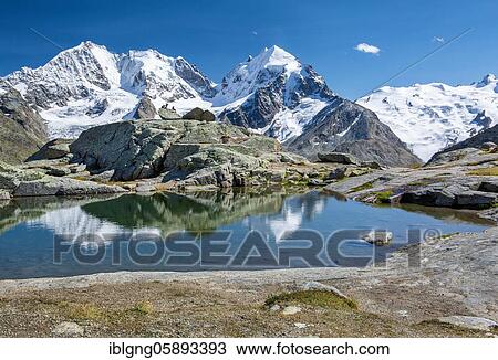 Small mountain lake on Fuorcla Surlej with Piz Bernina, Piz Roseg and Piz Glüschaint, Silvaplana, Bernina Alps, Upper Engadine, Engadine, Grisons, Switzerland, Europe View Large Photo Image Stock Image - Small mountain lake on Fuorcla Surlej with Piz Bernina, Piz Roseg and Piz Glüschaint, Silvaplana, Bernina Alps, Upper Engadine, Engadine, Grisons, Switzerland, Europe. Fotosearch