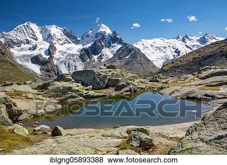 Stock Photo - Small mountain lake on Fuorcla Surlej with Piz Bernina, Piz Roseg and Piz Glüschaint, Silvaplana, Bernina Alps, Upper Engadine, Engadine, Grisons, Switzerland, Europe. Fotosearch