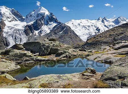 Stock Photo - Small mountain lake on Fuorcla Surlej with Piz Roseg and Piz Glüschaint, Silvaplana, Bernina Alps, Upper Engadine, Engadine, Grisons, Switzerland, Europe. Fotosearch