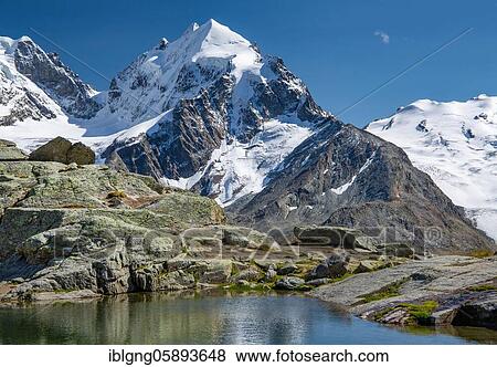 Small mountain lake on Fuorcla Surlej with Piz Roseg, Silvaplana, Bernina Alps, Upper Engadine, Engadine, Grisons, Switzerland, Europe View Large Photo Image Stock Photo - Small mountain lake on Fuorcla Surlej with Piz Roseg, Silvaplana, Bernina Alps, Upper Engadine, Engadine, Grisons, Switzerland, Europe. Fotosearch