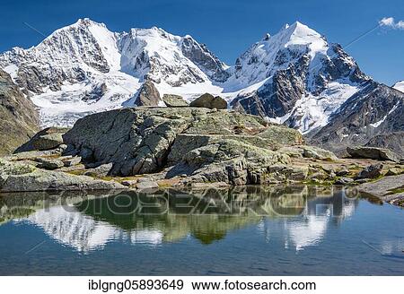 Stock Photo - Small mountain lake on Fuorcla Surlej with Piz Bernina and Piz Roseg, Silvaplana, Bernina Alps, Upper Engadine, Engadine, Grisons, Switzerland, Europe. Fotosearch