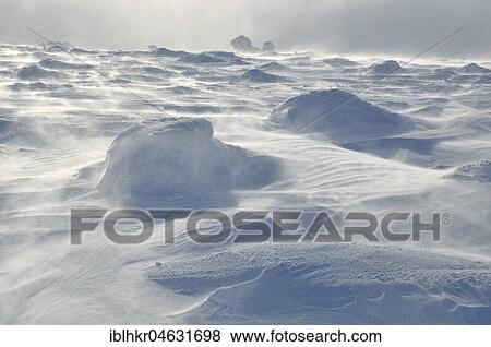 Snowstorm on the Brocken, Harz, Saxony-Anhalt, Germany, Europe View Large Photo Image Stock Photo - Snowstorm on the Brocken, Harz, Saxony-Anhalt, Germany, Europe. Fotosearch