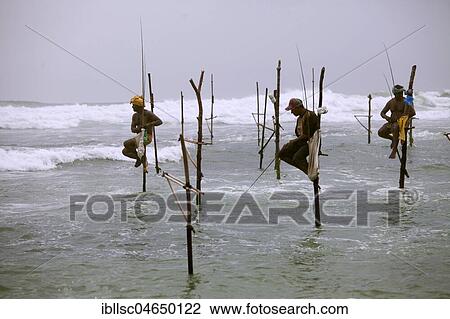 Stock Image - Stilt Fisherman, near Galle, Sri Lanka, Asia. Fotosearch