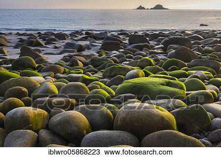 Stones overgrown with algae, rocky beach at Porth Nanven, St. Just, Cornwall, Great Britain View Large Photo Image Stock Image - Stones overgrown with algae, rocky beach at Porth Nanven, St. Just, Cornwall, Great Britain. Fotosearch