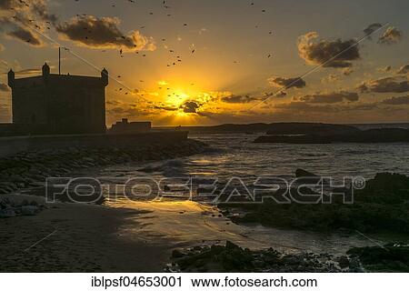Sunset, backlight, Scala du Port harbour tower with flying seagulls over the sea, Essaouira, Morocco, Africa View Large Photo Image Stock Image - Sunset, backlight, Scala du Port harbour tower with flying seagulls over the sea, Essaouira, Morocco, Africa. Fotosearch