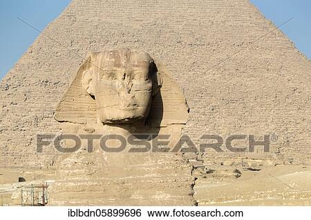 Stock Photograph - The great Sphinx with the pyramid of Khafre in the background, Giza, Cairo, Egypt, Africa. Fotosearch