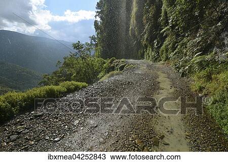 Todesstrasse, Camino de la Muerte, Yungas Strasse zwischen La Paz und Coroico, Bolivien, Sudamerika View Large Photo Image Stock Image - Todesstrasse, Camino de la Muerte, Yungas Strasse zwischen La Paz und Coroico, Bolivien, Sudamerika. Fotosearch