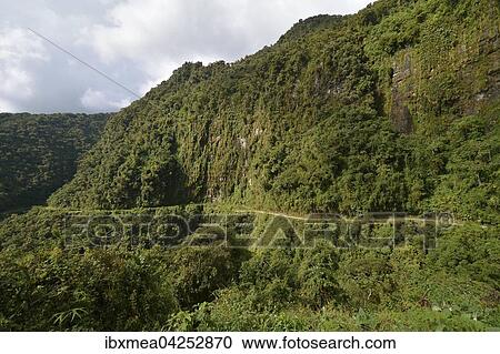 Todesstrasse schlangelt sich durch subtropischen Regenwald, Camino de la Muerte, Yungas Strasse zwischen La Paz und Coroico, Bolivien, Sudamerika View Large Photo Image Stock Image - Todesstrasse schlangelt sich durch subtropischen Regenwald, Camino de la Muerte, Yungas Strasse zwischen La Paz und Coroico, Bolivien, Sudamerika. Fotosearch
