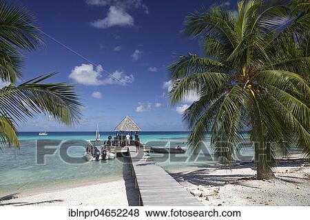 Top Dive Center with inflatable boat at the pier, ocean, Pacific Ocean, KiaOra Resort & Spa, Rangiroa, Society Islands, Windward Islands, French Polynesia, Oceania View Large Photo Image Stock Photo - Top Dive Center with inflatable boat at the pier, ocean, Pacific Ocean, KiaOra Resort & Spa, Rangiroa, Society Islands, Windward Islands, French Polynesia, Oceania. Fotosearch